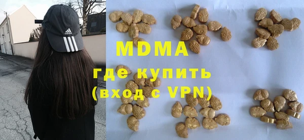 мет Алексин