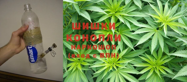 мет Алексин