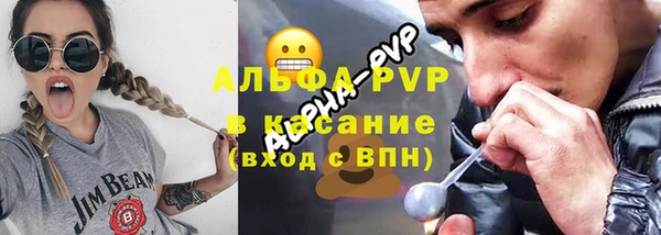 мет Алексин