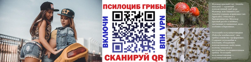 купить закладку  гидра маркетплейс  Галлюциногенные грибы мицелий  Стародуб 